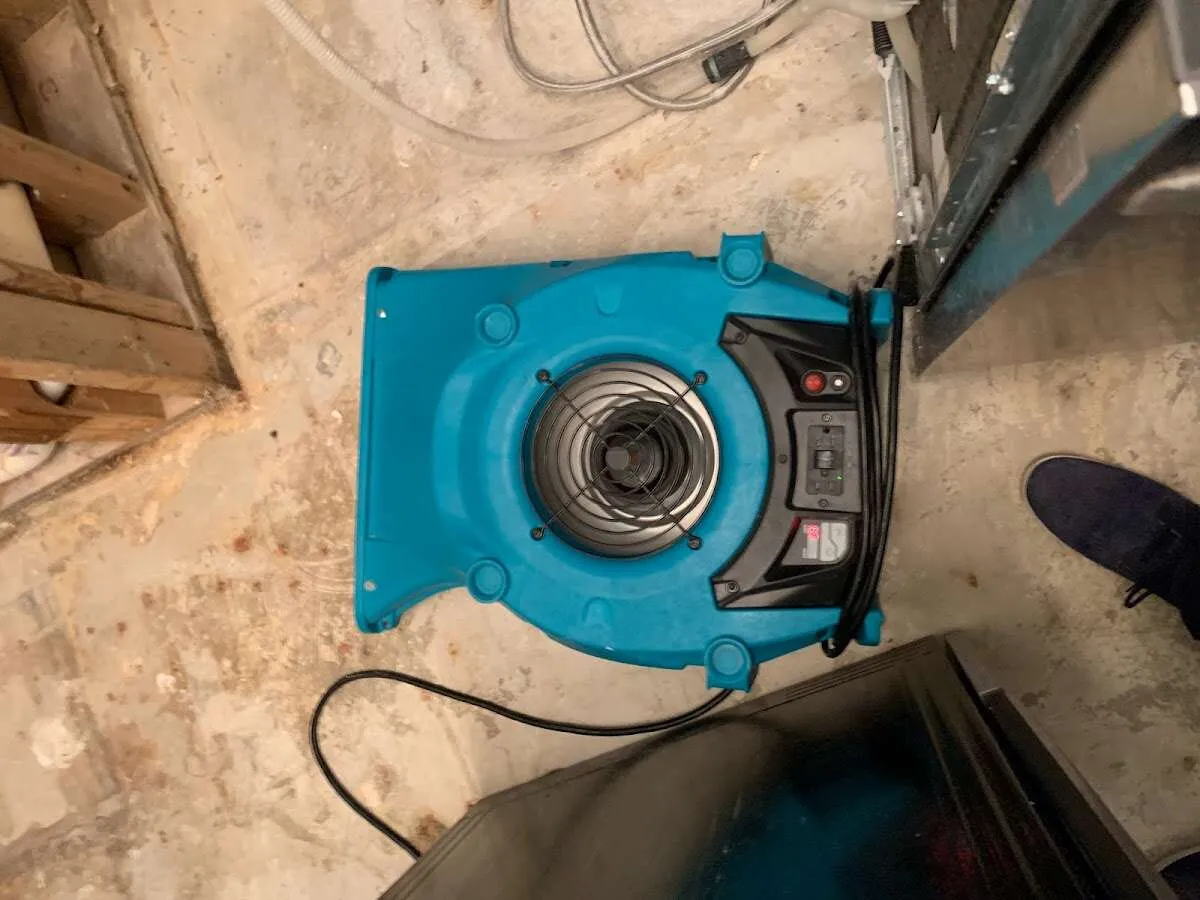 Air mover drying equipment for Mold Remediation & Removal in Lakewood Ranch